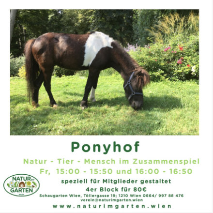 2023 Nig Ponyhof 440.jpg