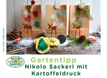 Nikolo Sackerl mit Kartoffeldruck gestalten