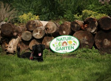 Hundestaffel zu Besuch im Natur im Garten Schaugarten in Wien