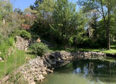 Was tut sich im Natur im Garten Wien - Schaugarten