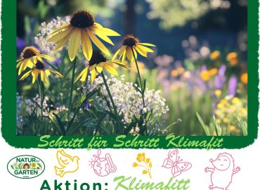 Schritt für Schritt klimafitt Mitmachaktion 2025