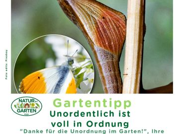 unordentlich - ordentlich