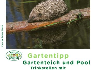 Gartenteich und Pool - Ausstiegshilfen retten Leben