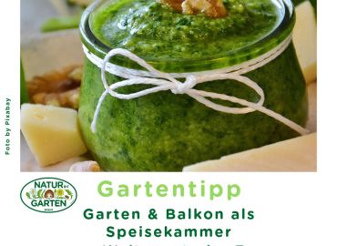 Weltvegetarier Tag Speisekammer Garten und Balkon