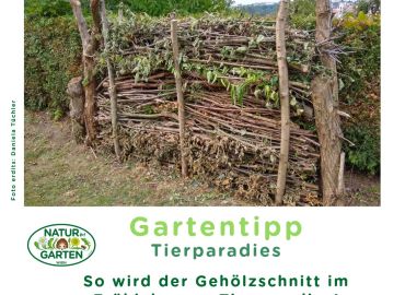 Tierparadies Gehölzschnitt