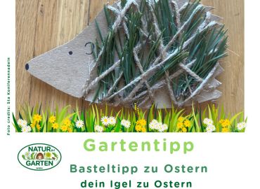 Ostern Basteltipp Igel