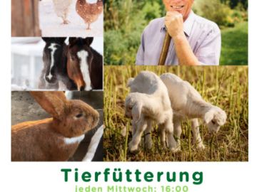 Tierfütterung- Natur zum Streicheln